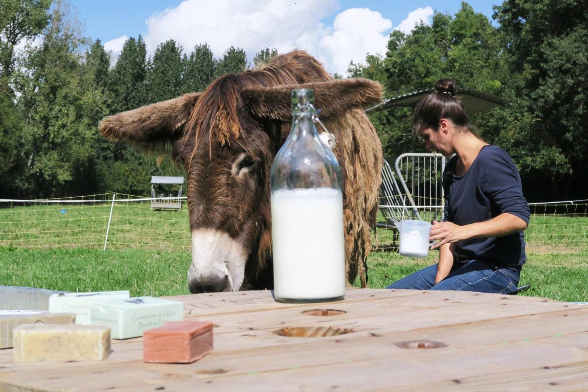 Готель La Ferme Du Marais Poitevin - Roulotte Benet Екстер'єр фото